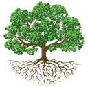 Relationship and Wellbeing Specialist